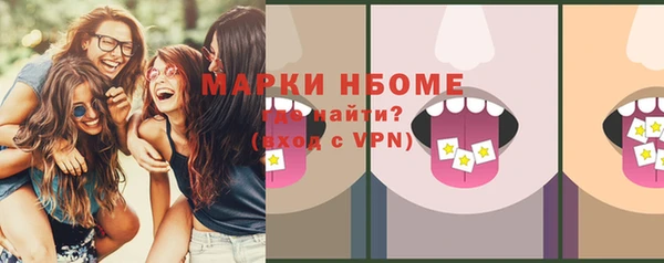 мдпв Верея