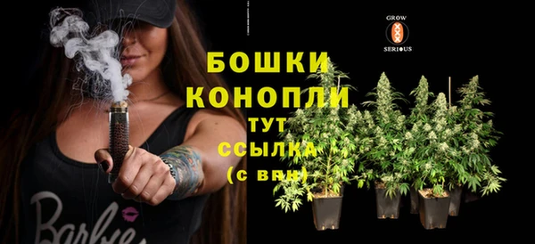 мдпв Верея