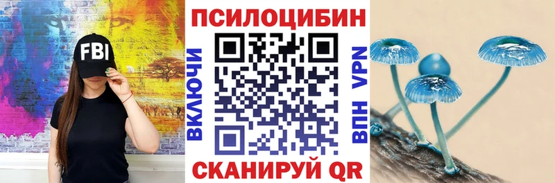 Псилоцибиновые грибы GOLDEN TEACHER  Егорьевск 